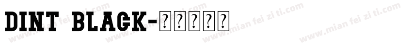 DINT Black字体转换